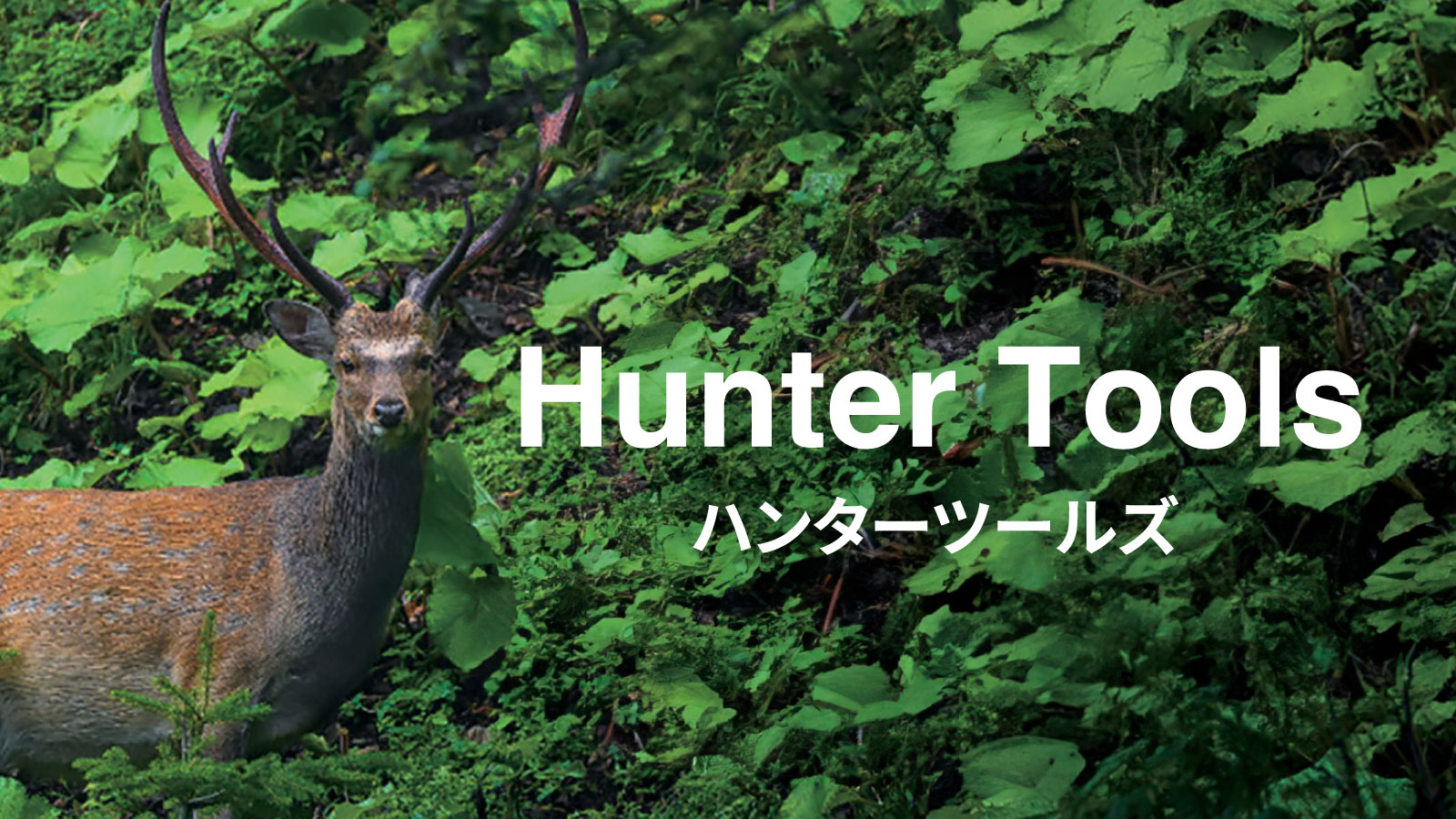 hunter_smart